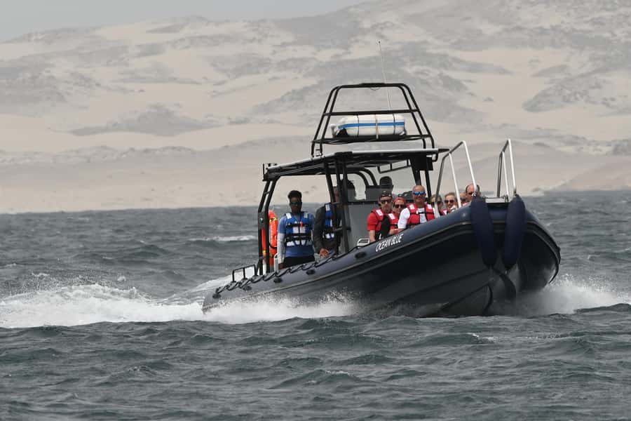 Boavista: Whale Watching half day trip - Spotting Humpbacks Without a Guaranteed Show