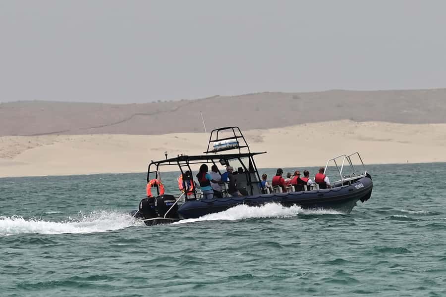Boavista: Whale Watching half day trip - What to Pack So You Don’t Freeze, Fry, or Regret It