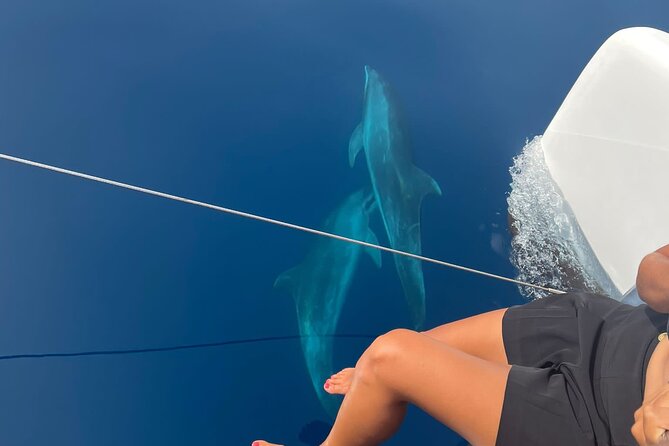 Catamaran Half Day - Beautiful day on the Atlantic Ocean - Wildlife Off Sal: Turtles, Dolphins, and Possible Whales