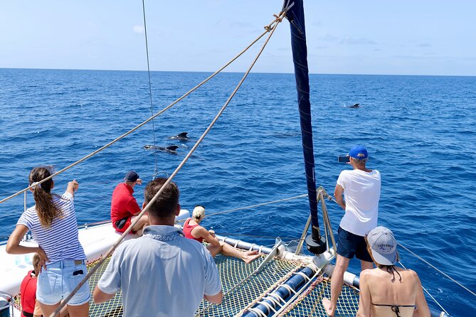 Catamaran Half Day - Beautiful day on the Atlantic Ocean - Swimming and Snorkeling: Gear Included, Timing Can Vary