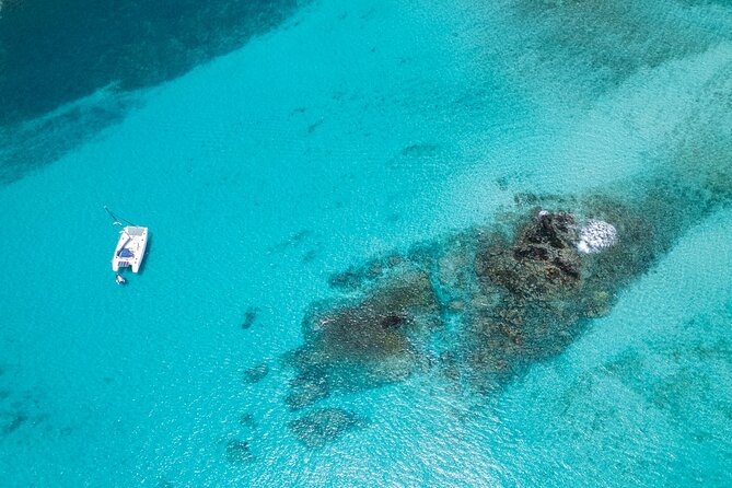 Catamaran Sailing Tour or Whale Watching at Boa Vista - Key highlights (what makes this one work)