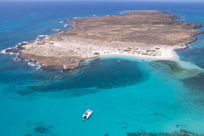 Catamaran Sailing Tour or Whale Watching at Boa Vista - Catamaran sailing in Sal Rei: 13m comfort, not a cattle-pen