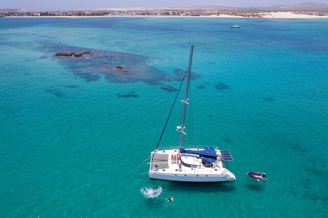 Catamaran Sailing Tour or Whale Watching at Boa Vista - Price and value: $84.92 is only fair if you use the included extras