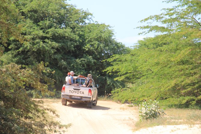 Combi Relax Tour - Stop 2: Cabo Santa Maria shipwreck, quick legend and big views
