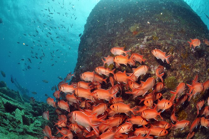 Discover Scuba Diving in Sal - The equipment you use (and why you should care about it)