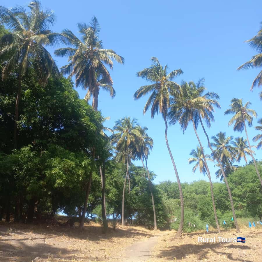 Discover the Black Sand Beach+the Natural Pool - Who should book this black sand and natural pool tour