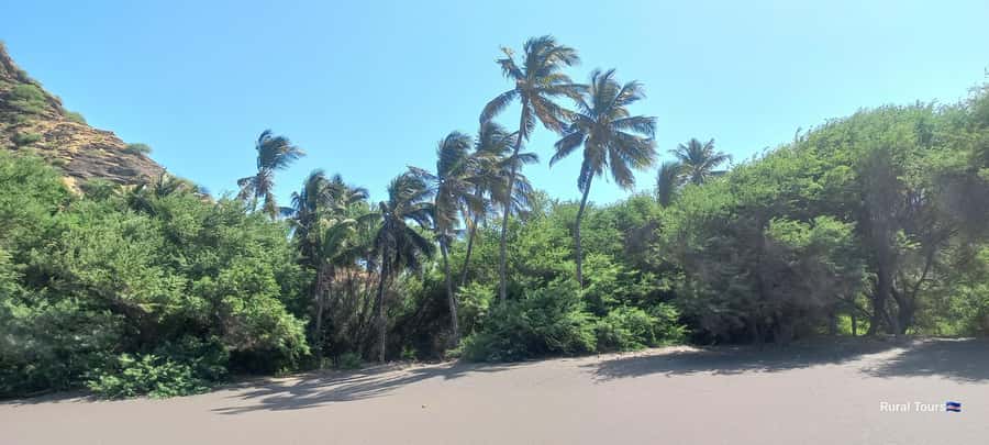 Discover the Black Sand Beach+the Natural Pool - Practical tips for a smoother day on volcanic sand