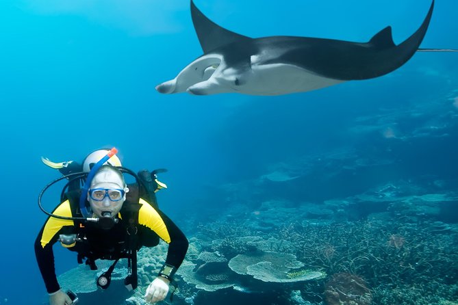 Double Diving in Sal Island - Half Day - Seas, Wind, and Staying Comfortable Without Losing the Day