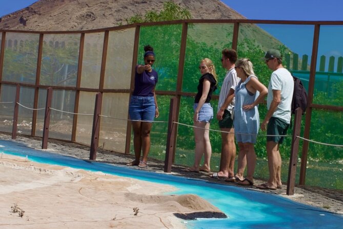 Exclusive Sal Island - Full Day Personalized for You - A private Sal day that mixes big sights and local pace