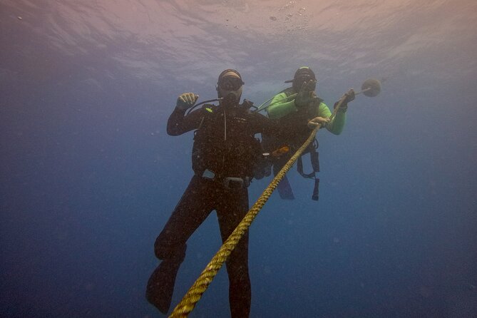 First Diving Experience Try Dive - Reef time and marine life: what to look for in those adjusted depth levels