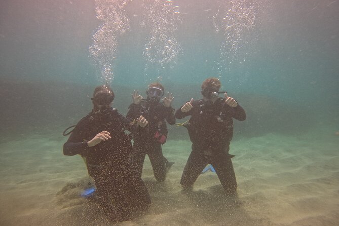 First Diving Experience Try Dive - Timing and comfort tips for a 2:00 pm start