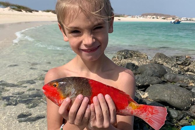 Fishing Snorkeling and Barbecue - The Djeu Stop: Explore Ashore or Snorkel the Nearby Reef