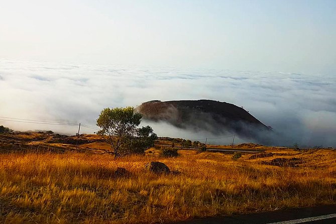 Fogo Island: Spectacular Vulcano HIking Experience(2829 m) - Stop 3: the walk back to Fogo, and finishing strong