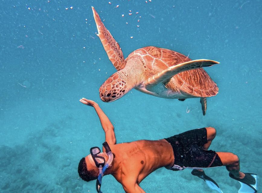 From Mindelo: São Vicente's Enchanting Sea Turtle Snorkeling - Who the Guides Are and Why It Changes the Experience