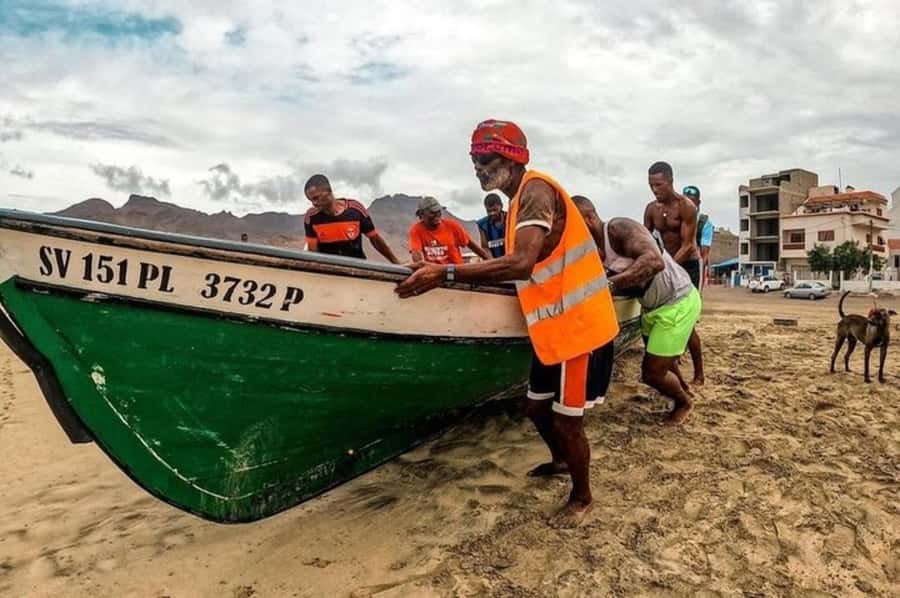 From Mindelo: Snorkel and Swim with Sea Turtles - Key things I’d pay attention to