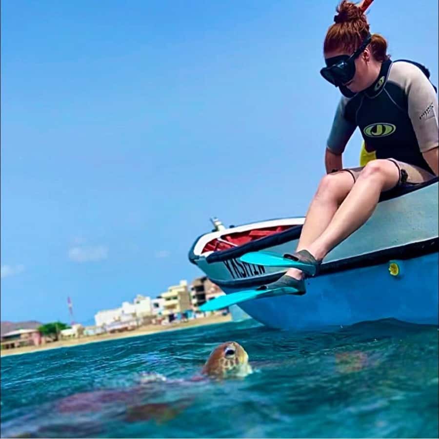 From Mindelo: Snorkel and Swim with Sea Turtles - Languages and marine-professional guidance