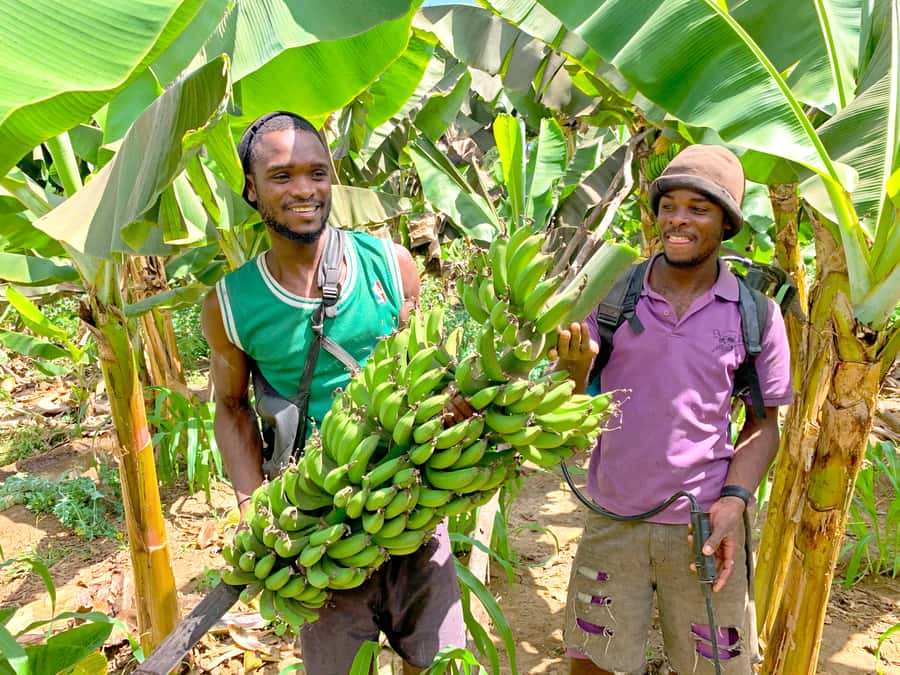 From Praia: Banana Plantation Tour and Cuscuz Workshop - Key things you will love about this Praia-to-Santiago tour