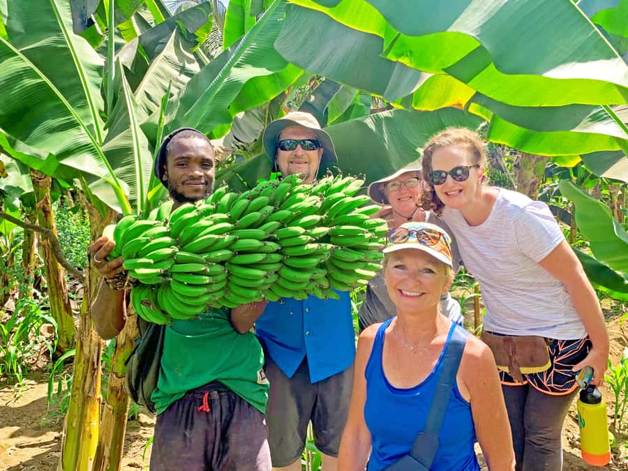 From Praia: Banana Plantation Tour and Cuscuz Workshop - Santa Cruz plantation walk: what you learn on the farm