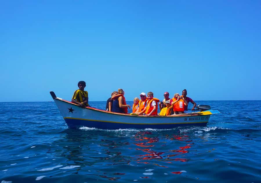 From Praia: Boat Trip, Snorkeling, Cave & BBQ on the Beach - Key highlights to watch for