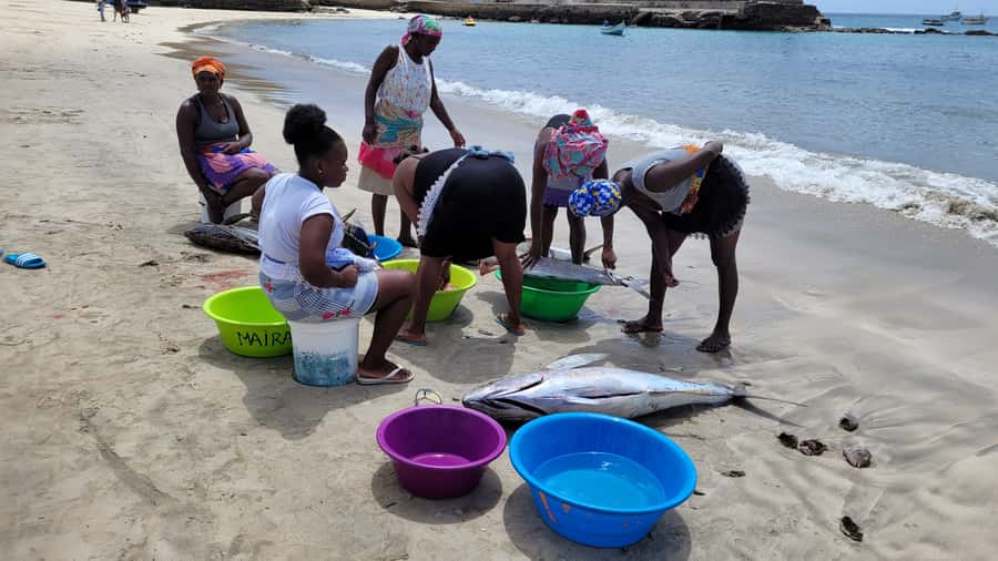From Praia: Explore the island with local Tour guide - Guides Matter: When the Explanations Make the Stops Better