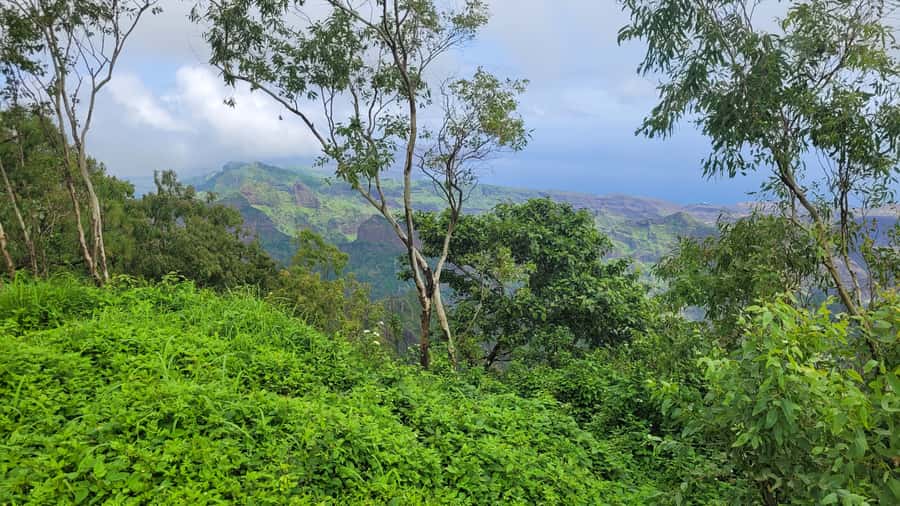From Praia: Explore the island with local Tour guide - Assomada Market: How Locals Buy, Sell, and Chat