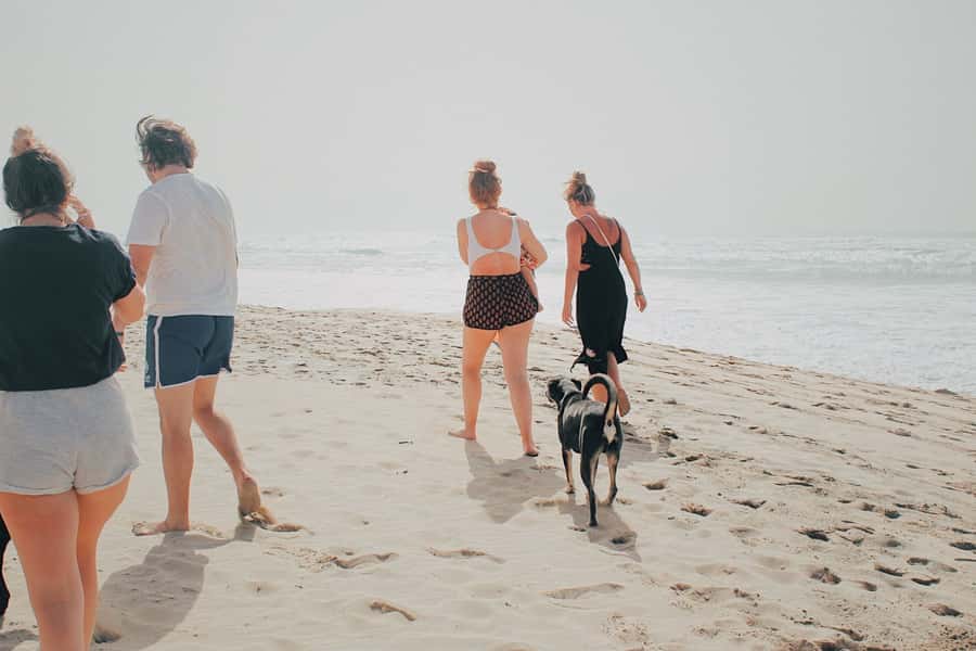 From Praia: Explore the island with local Tour guide - East Coast Drive Back: Fishing Villages, Banana Plantations, and Thousand Palms