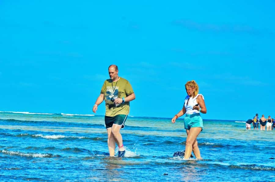From Sal Island: Blue Eye, Salt Lake, Lemon Sharks, Palmeira - The Sal Island “best-of” loop, with real water time