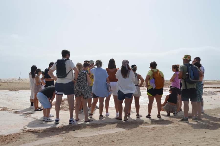 From Sal Island: Blue Eye, Salt Lake, Lemon Sharks, Palmeira - Murdeira Bay: a guided swim break you’ll remember