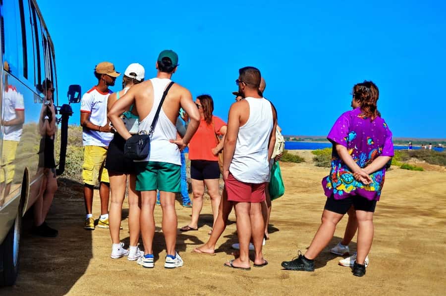 From Sal Island: Blue Eye, Salt Lake, Lemon Sharks, Palmeira - Shark Bay with lemon sharks: thrilling, but listen and move carefully