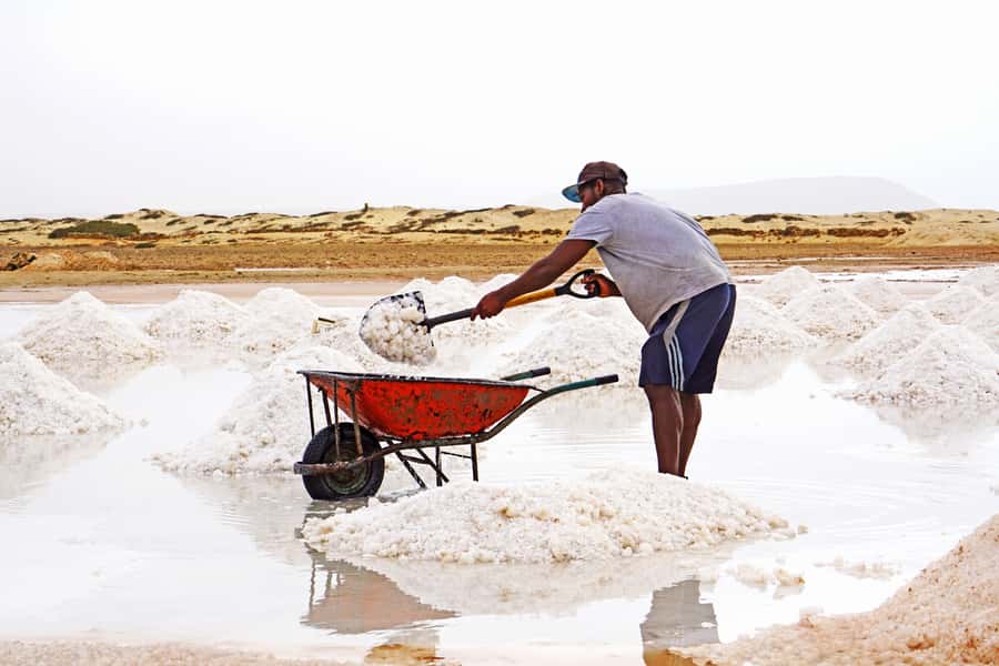 From Santa Maria: Sal Island Private Day Trip - Pedra de Lume: the salt pan below sea level and the crater float