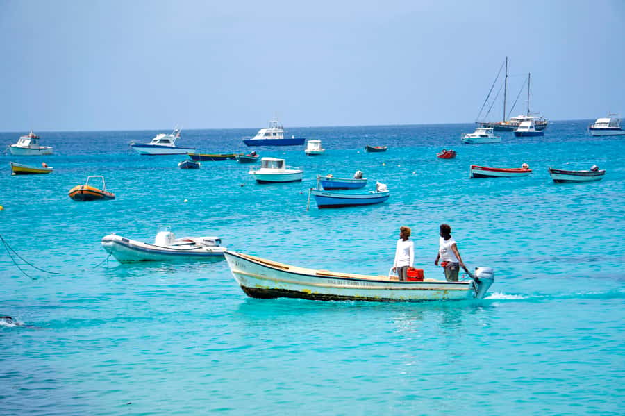 From Santa Maria: Sal Island Private Day Trip - Who should book this private day trip?