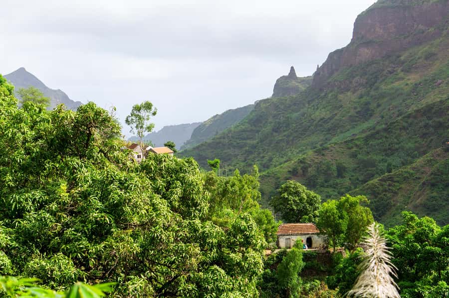 From Tarrafal: Serra to Principal Hike & Lunch with locals - Serra Malagueta Natural Park: what your guide teaches on the way