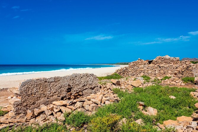 Full Day Boa Vista Island Guided 4X4 Tour with Beachfront Lunch - Sal Rei pause and beachside lunch: where the day turns comfortable