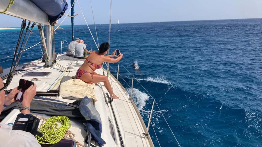 Full day sailing boat in Sal, Cape Verde:taste the Atlantic! - The Color-Changing Anchor Spot and Wildlife on the Water