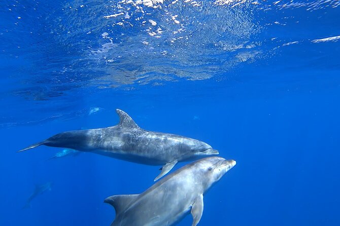 Full day Sailing yacht - Beautiful day on the Atlantic Ocean - Lunch, Drinks, and the Crew That Makes the Day Feel Easy