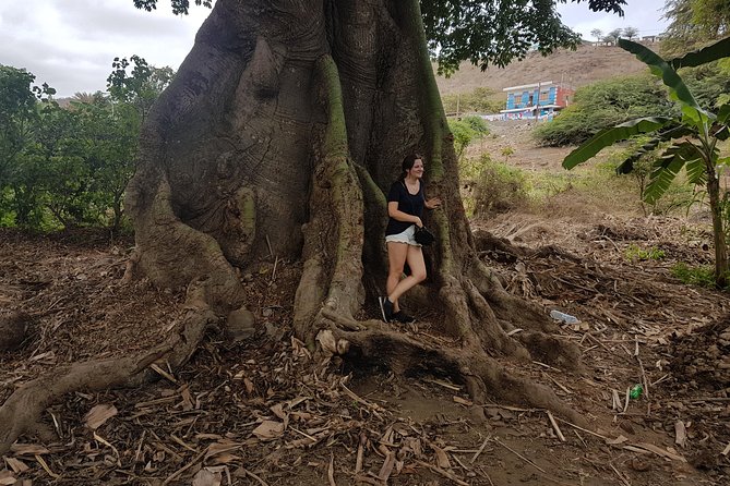 Full Day Santiago Island Tour - The Banana Plantation Visit: Turning a Photo Into Context