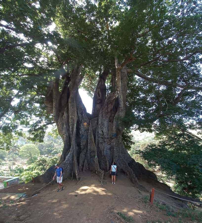 Full-Day Santiago – Villages, Nature & Local Culture - Why Santiago feels like the Cape Verde you came for