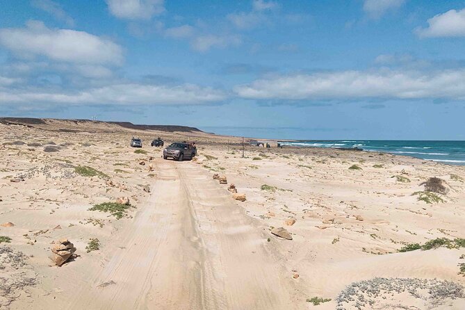 Full Day South to Southwest Exploration in Boa Vista Island - Rabil and Fonte Vicente Oasis: where trees grow in a hydrographic basin