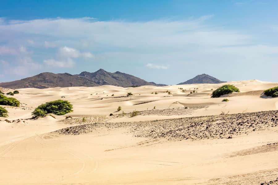 Half Day 4x4 Tour with Viana Desert and Villages - Ceramics and the art of buying without stress