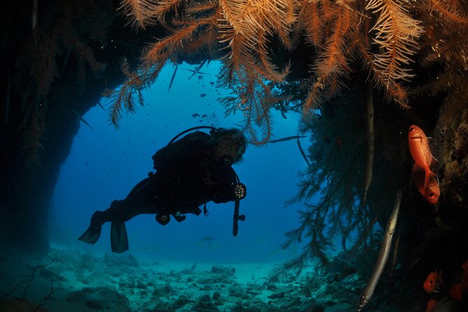 Half-Day Diving in Sal - Key Points Worth Knowing Before You Go