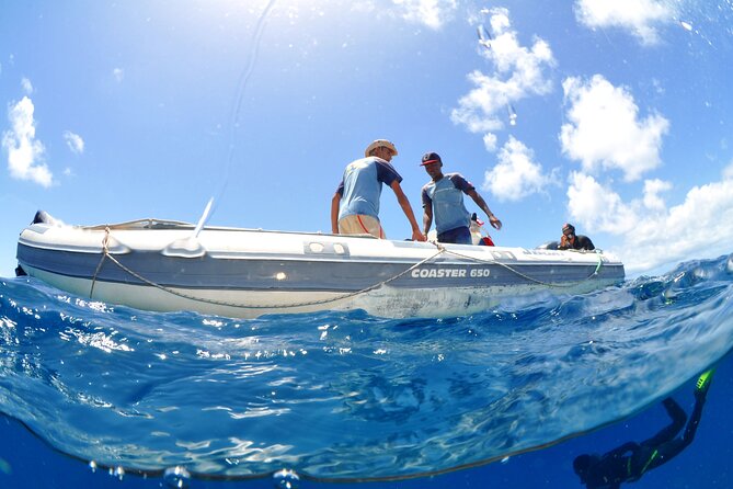 Half-Day Diving in Sal - What’s Included (and What Costs Extra for Your Setup)