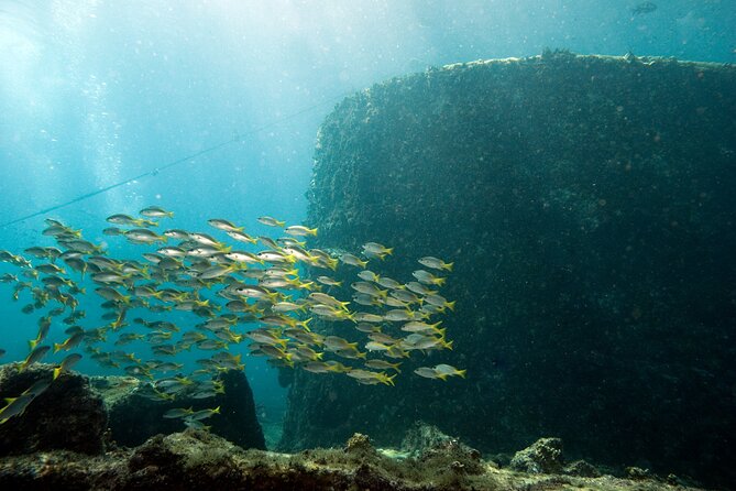 Half-Day Diving in Sal - Safety, Health Forms, and Scuba Certification Basics