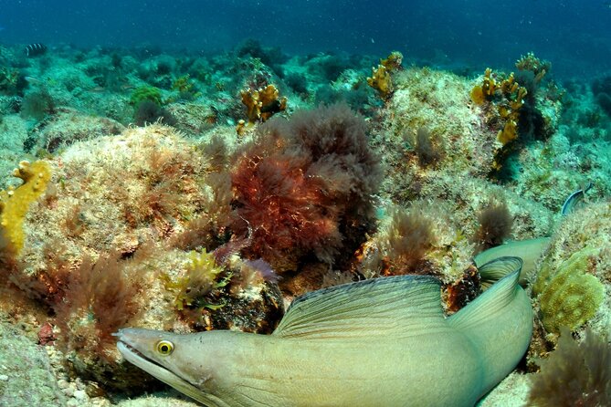 Half-Day Diving in Sal - Timing and On-the-Water Reality (So You Don’t Get Surprised)