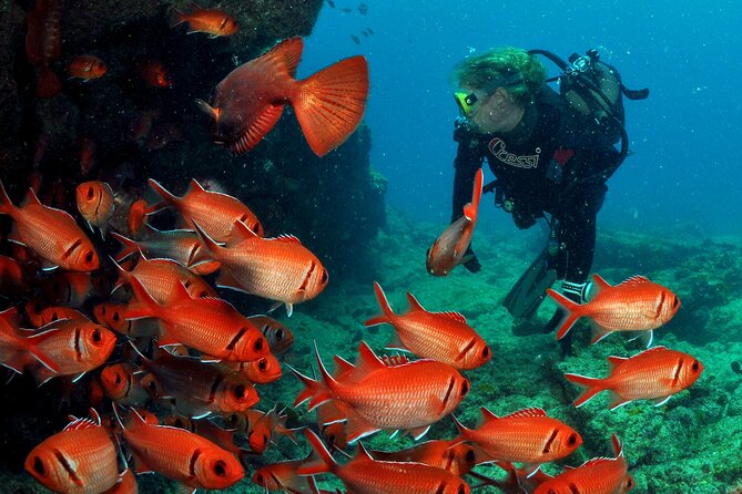 Half-Day Diving in Sal - Your Two Underwater Sessions: Depths, Time, and What You Might See