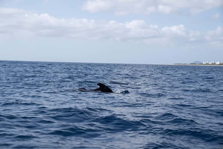 Half-Day Sailing Yacht Adventure in Sal Island - 3 hours - Getting to the boat: Santa Maria Beach vs Bikini Beach (and why it matters)