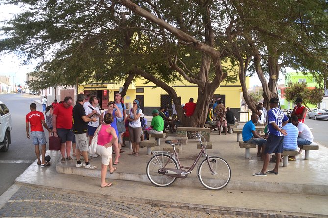 Half-Day Sal Island Tour with Shark Experience from Santa Maria - Pickup, meeting point, and the “morning momentum” plan