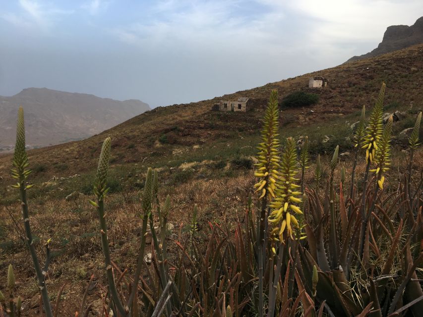 Hike Monte Verde - Weather reality: wind, dust, and how to dress for comfort