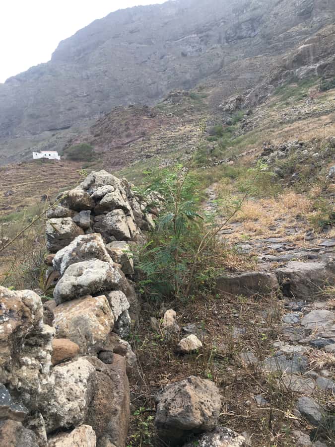 Hike Monte Verde - Price and value: what you pay for at $64 per person