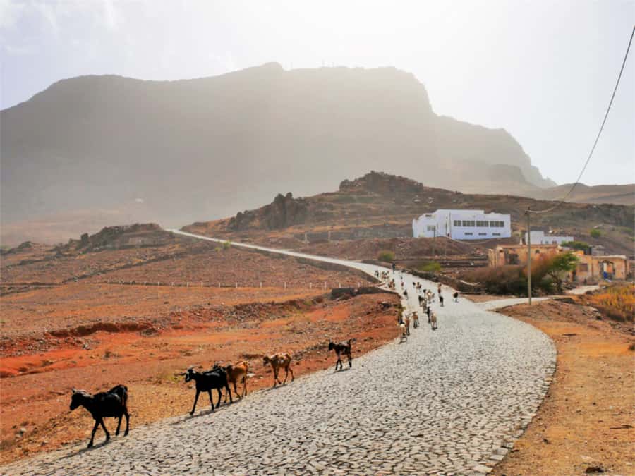 Hike to the highest point of Monte verde - Why Monte Verde Feels Like a Reset on São Vicente
