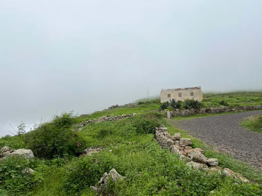 Hike to the highest point of Monte verde - Summit Time: Views, Photo Chances, and Local Tastes